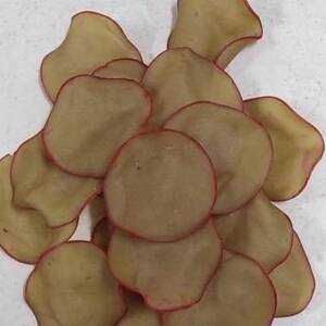 فشار كرومبو