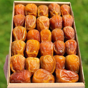 تمر جلكسي مفتل فاخر