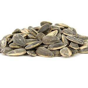 حب شمسي مملح